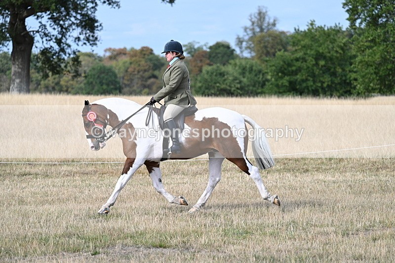WJ7_7797 - Ridden Championship