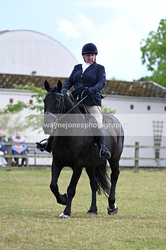 WJ7_9549 - Class 8 Ridden Veterans