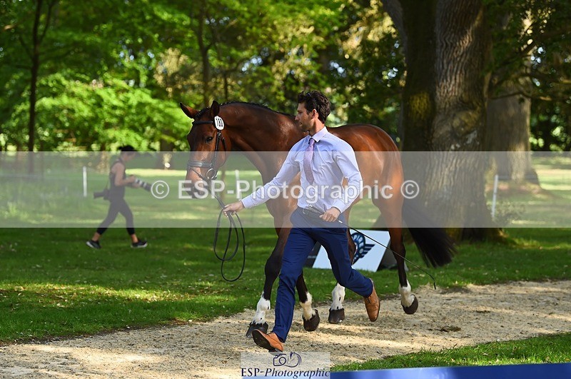 230524-172306-01478 - 180-GUEULE_DE_REVE-Arthur_Duffort-WEDTrotUp+DR
