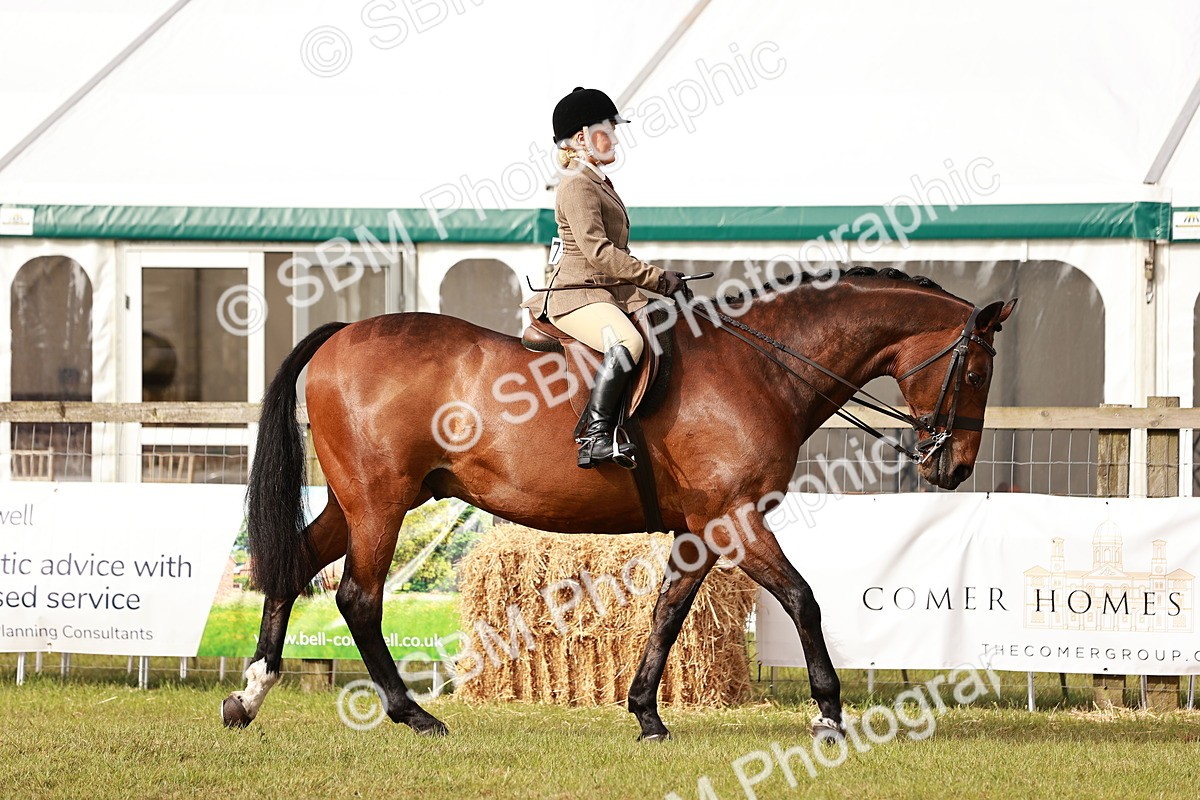 SBM_10840 - Class 81-84 - RIHS Ridden hunters Inc Ladies Hunter