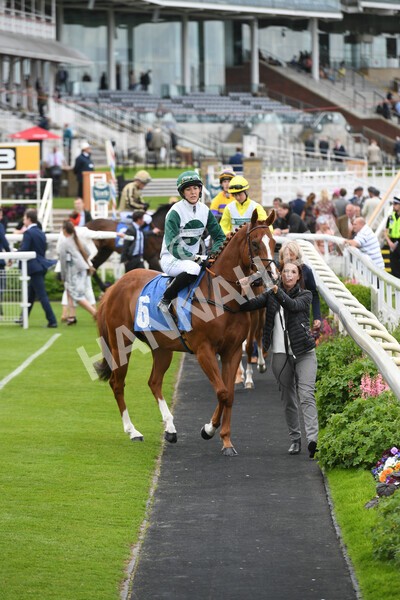 yr11062022r1-32 - Race 1 12.45pm Macmillan Ride of Their Lives, supported by Sky Bet