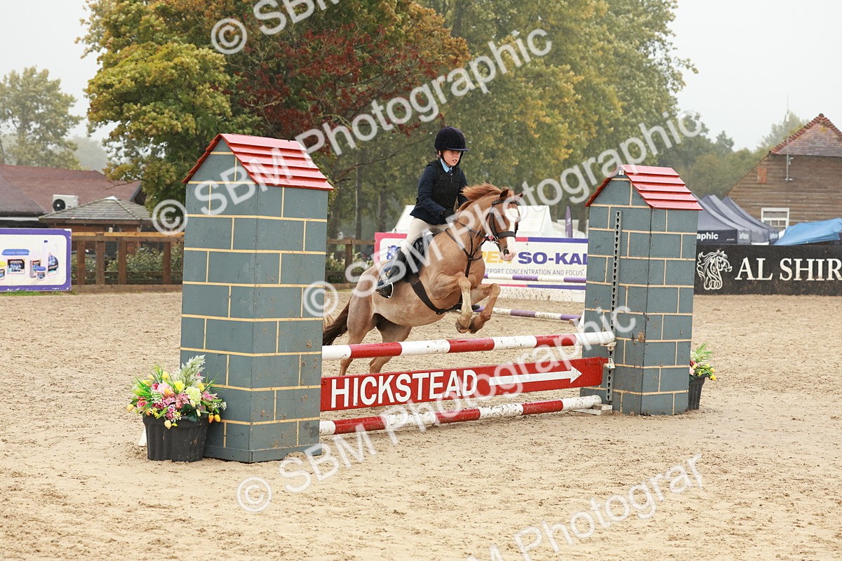 SBM_73343 - Supreme Championship Junior Pony 60cm & 65cm
