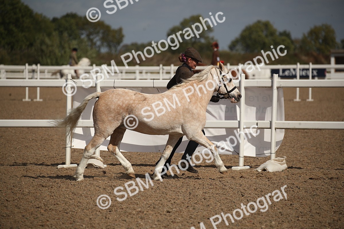 SBM_23390 - Class 604 - 2026 - Area IH Diamond