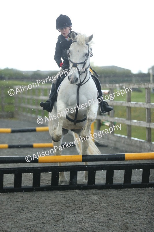 20260412-1927 - Show Jumping