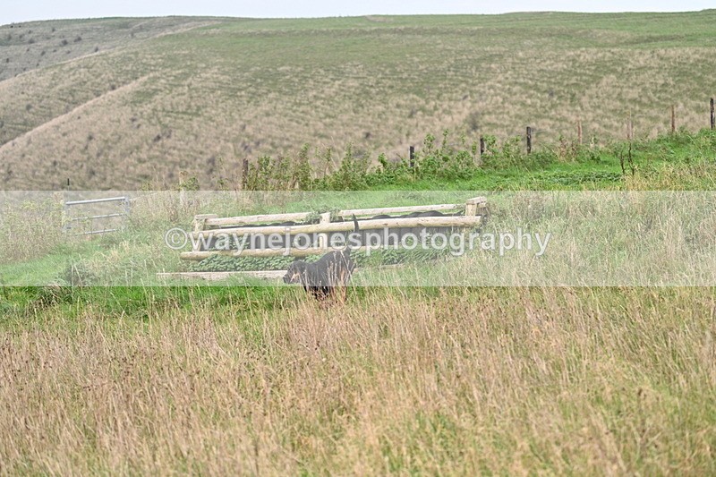 WJ7_9858 - Camera 1 & Last fence