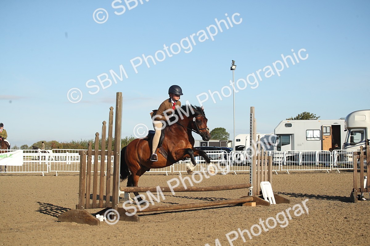 SBM_11560 - Class 502 - Riding Club Horse