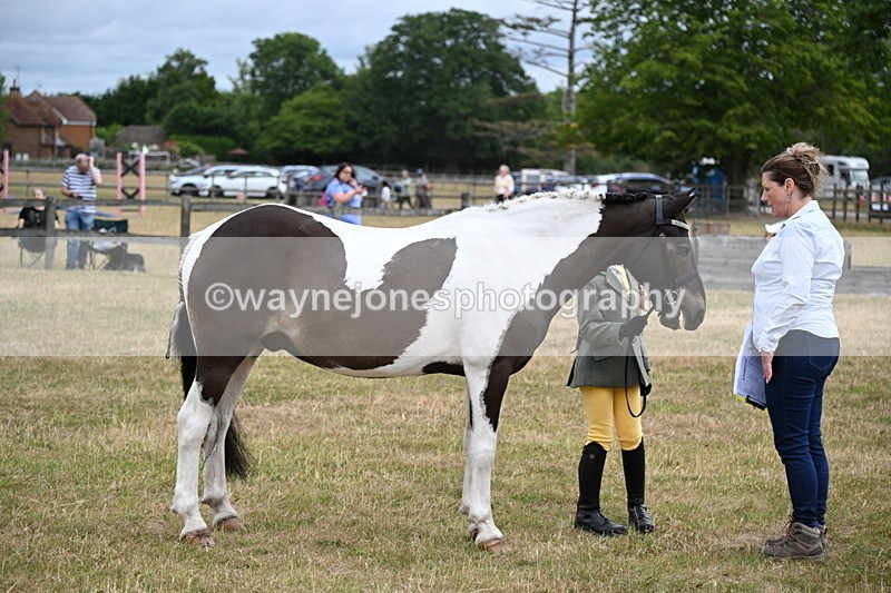 WJ6_4307 - Class 10 Coloured In-hand