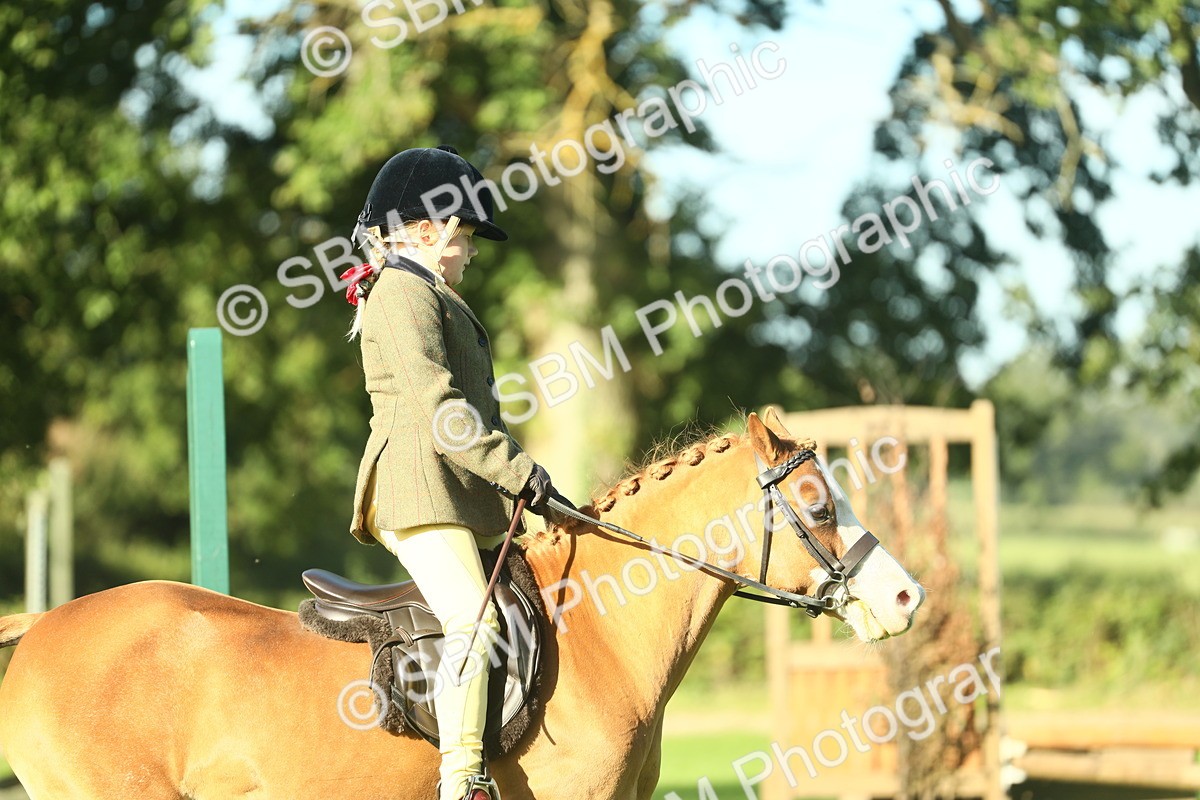 SBM_36347 - S29 - Novice & Newcomers Working Hunter Pony