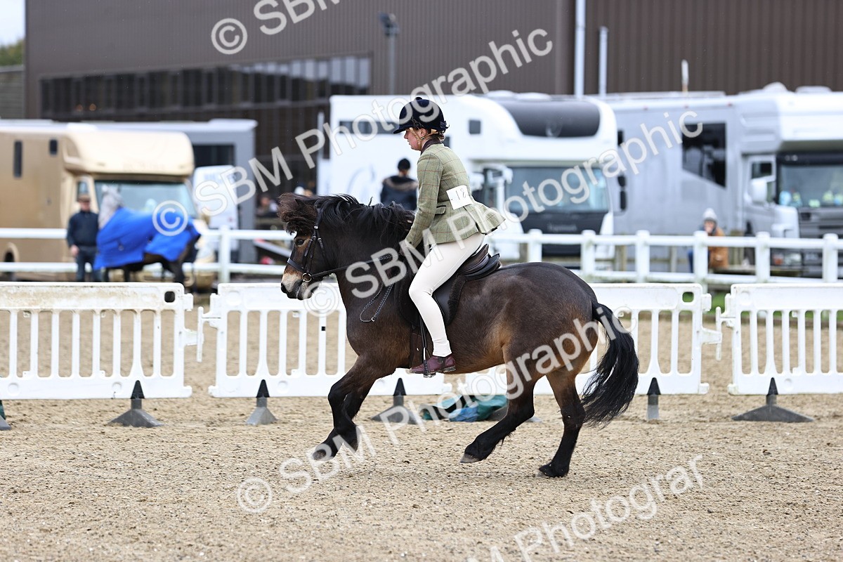 SBM_006852 - Class 29 - 30 - M&M Pure Novice Small-Large Breeds