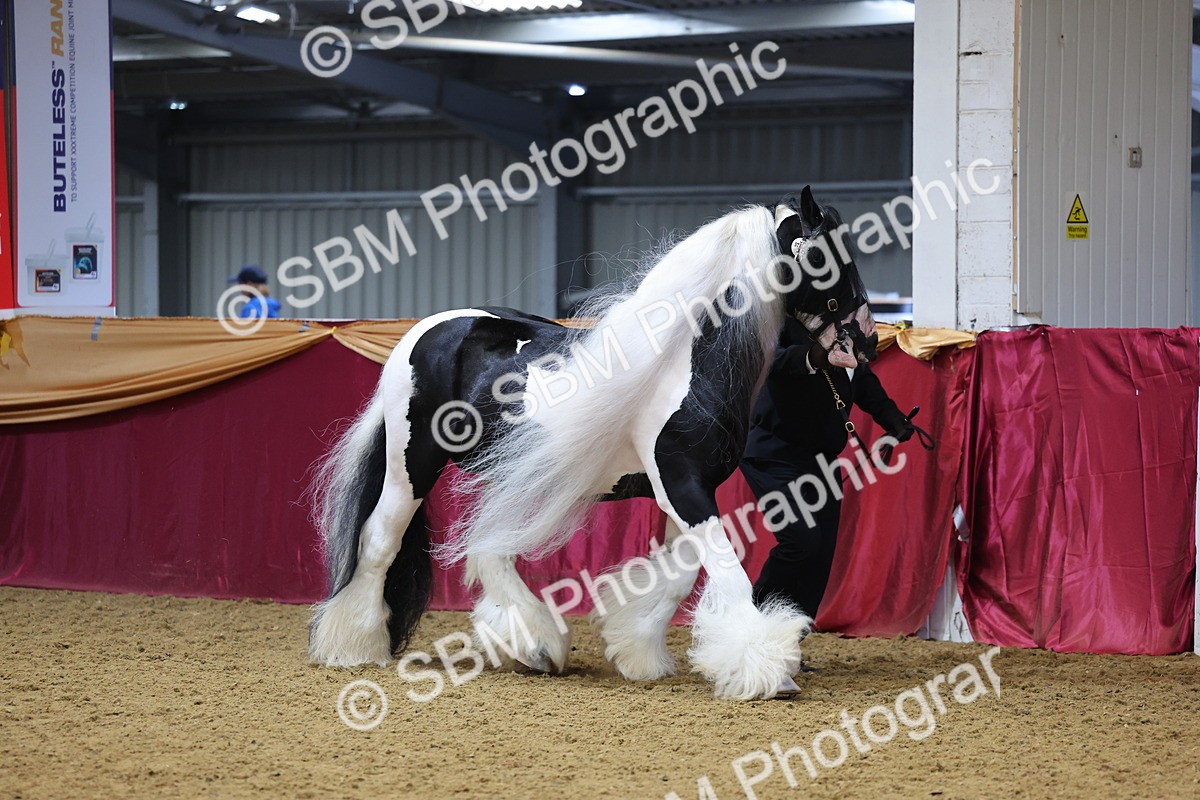 SBM_22650 - Class 903 - Supreme Final - IH Pre Vet