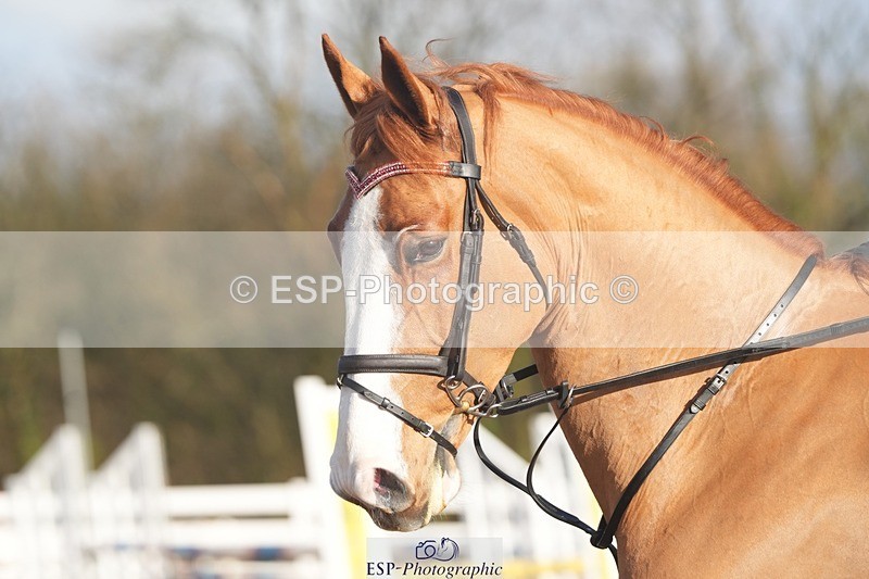 260201-101005-02990 - Cls 16 British Novice and 90cm