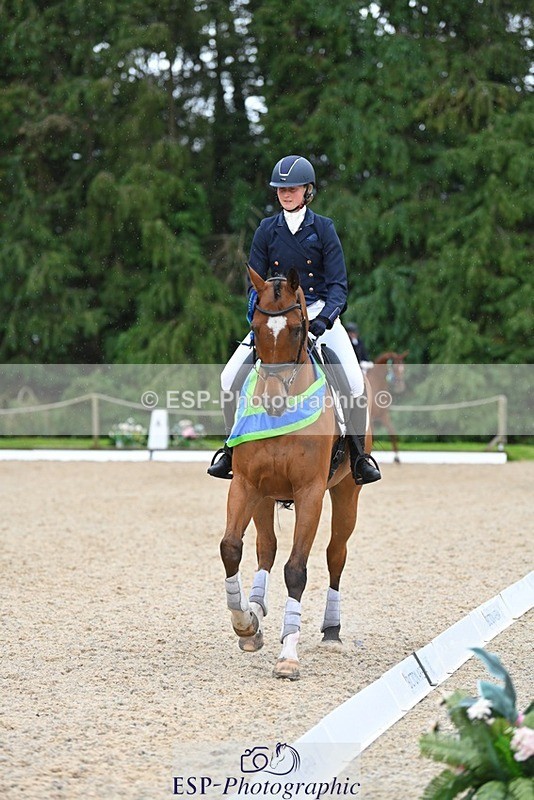 230813-163019-08337 - Medium Bronze Presentations