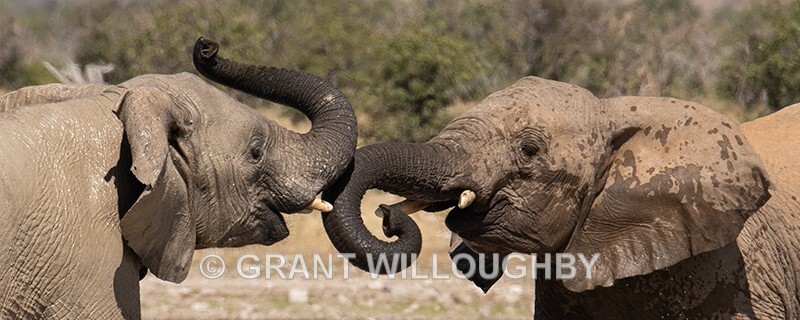  - Namibia