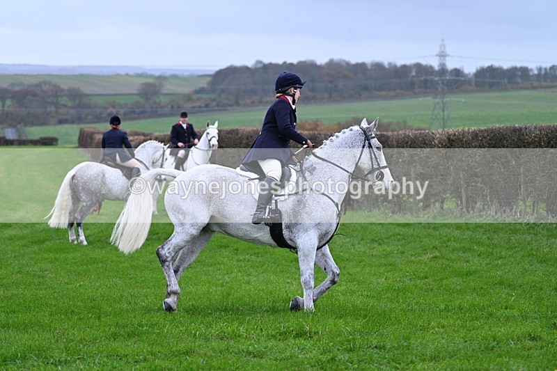 WJ7_8772 - Meet Staff & Hounds