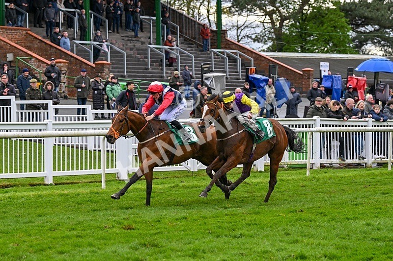  - Race 5