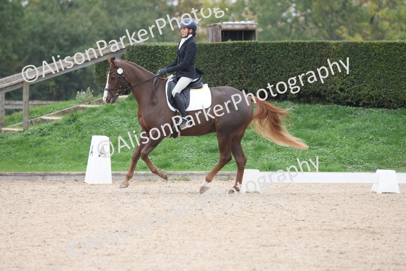 20251011-0390 - Class 4 - Novice 2