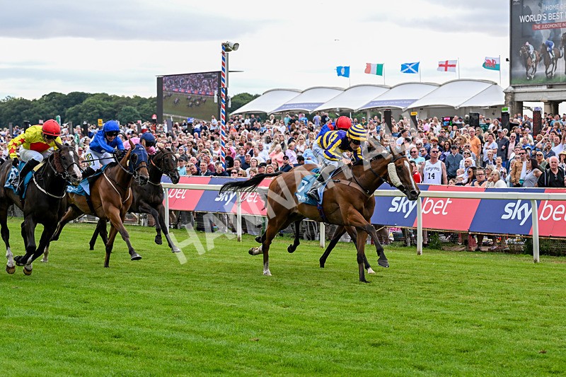 250726-Race 4-Dwindling Funds-0948 - Race 4 15.05pm Sky Bet For The Fans Handicap