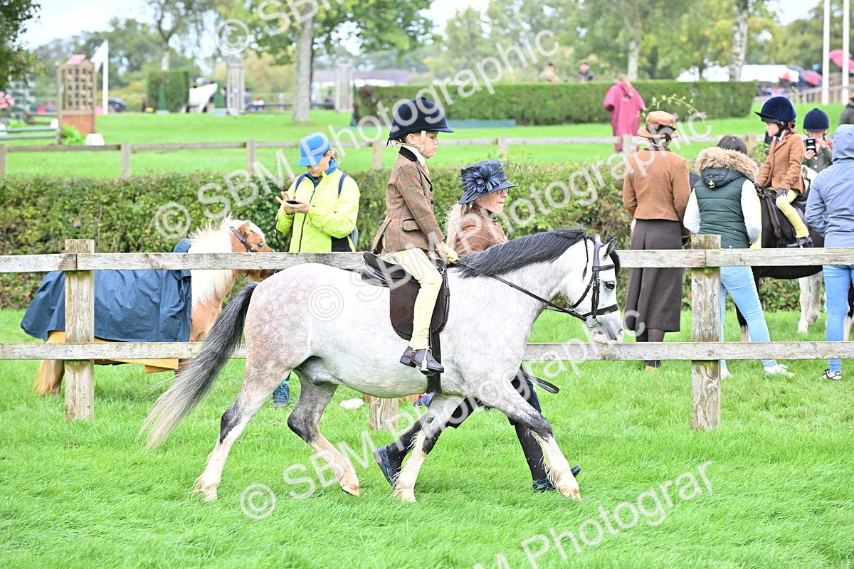 SBM_40122 - S20 - Lead Rein Mountain & Moorland Pony