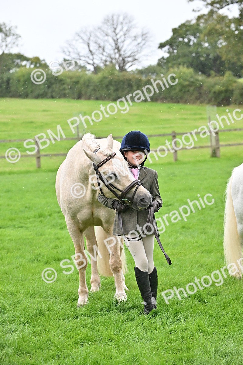 SBM_68610 - S42 - Junior Handler 9-12 Years