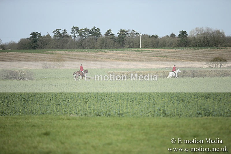 PtP 230319 308 - VWH Hunt Siddington Point-to-Point Racing 23/03/19