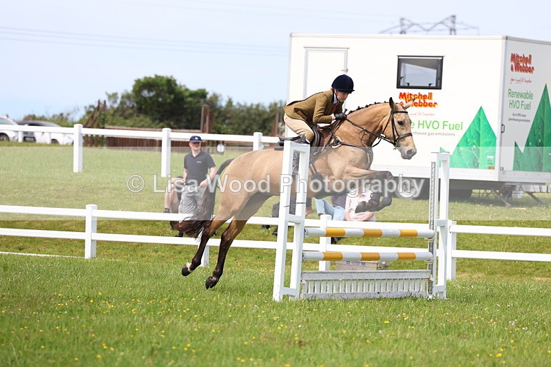 3E7A1441 - Class 13: Senior British Novice/90cm open