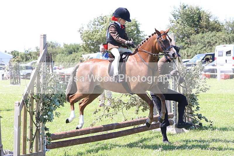 JPP_2194 - Class 20: Tiny Tots Working Hunter Pony