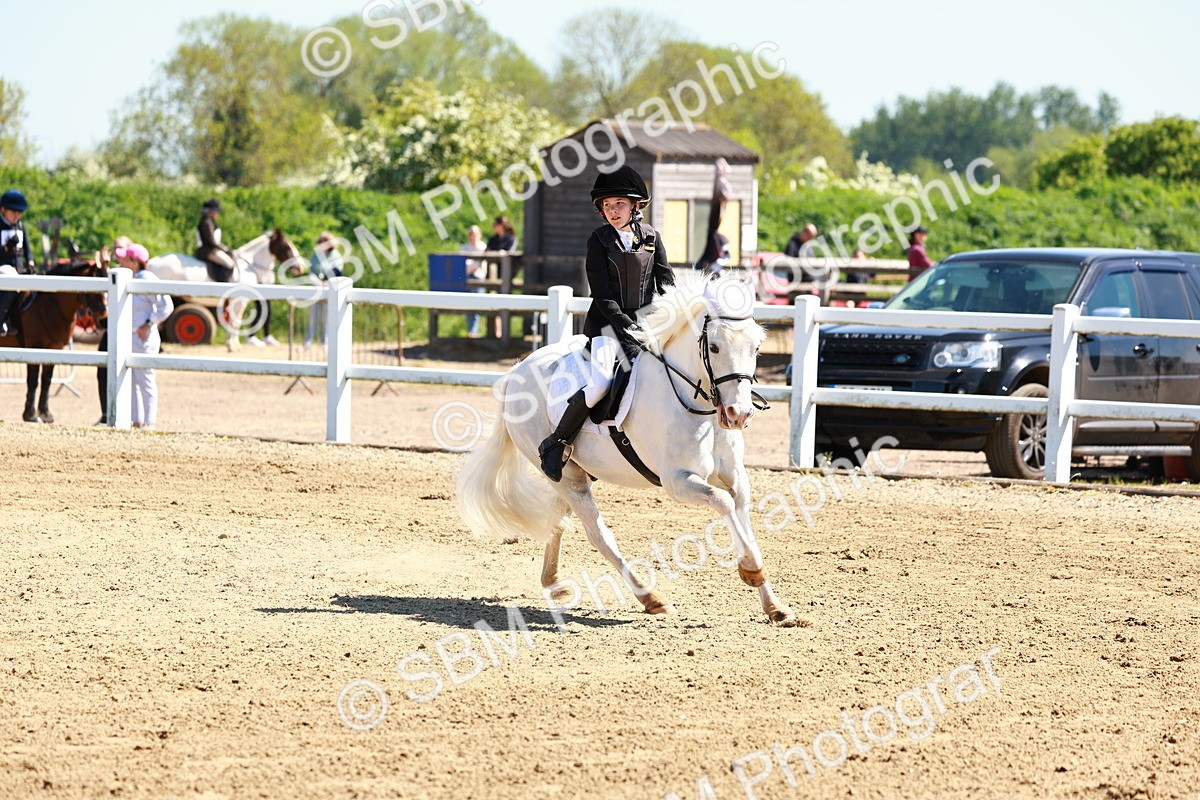 SBM_007168 - Class 3 - 60cm