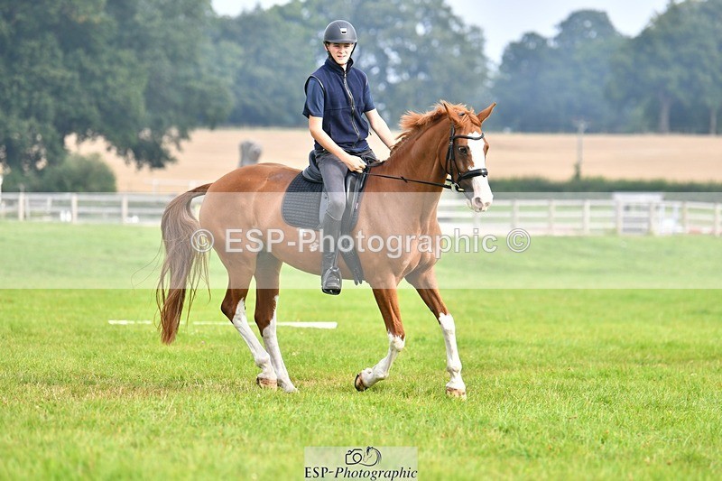 230817-091825-02521 - Abbie's 1st Group - Dressage