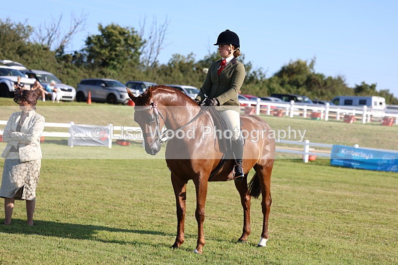 3E7A5057 - Class 1: Rising Star Small Hack/Riding Horses