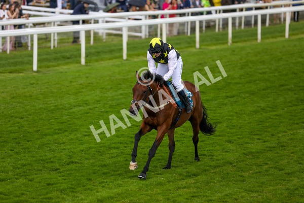 150624-G-Macmillan Ride Of Their Lives-6016 - 12.30pm Macmillan Ride of Their Lives