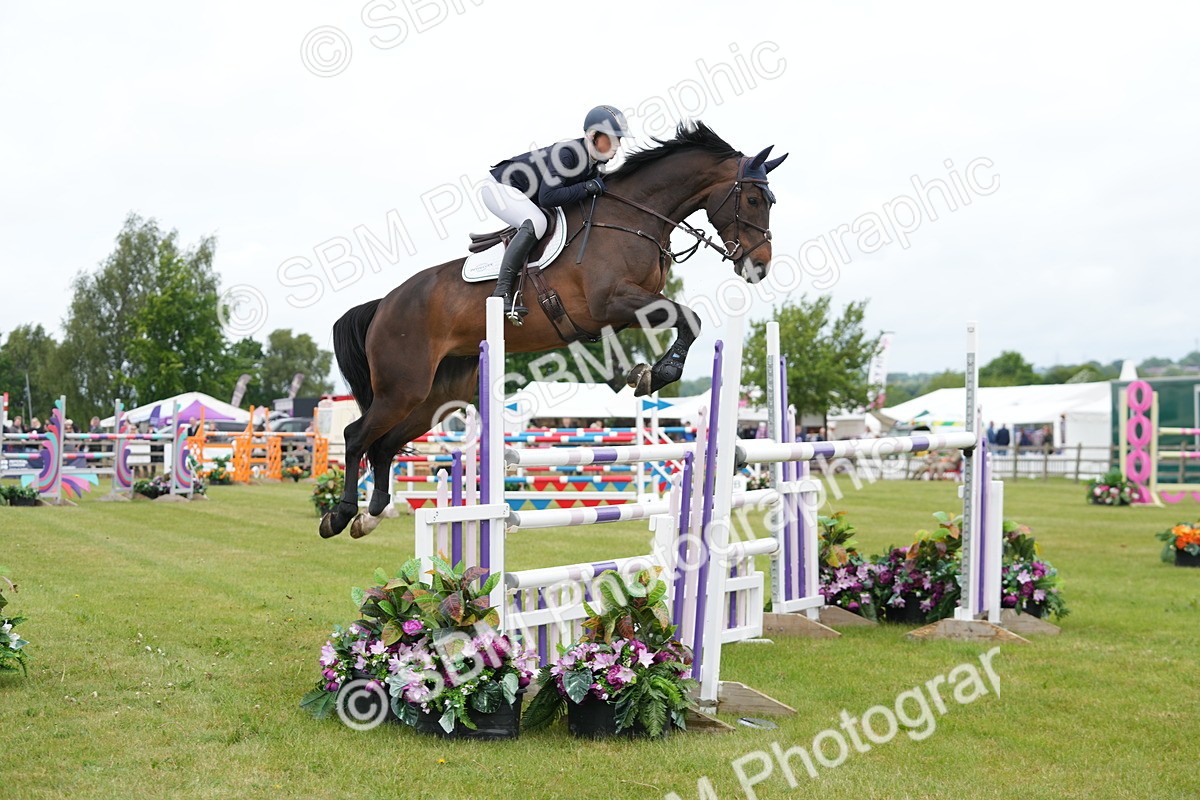 SBM_03057 - Class 201 - British Horse Feeds Speedi Beet Horse of the Year Show Grade  C