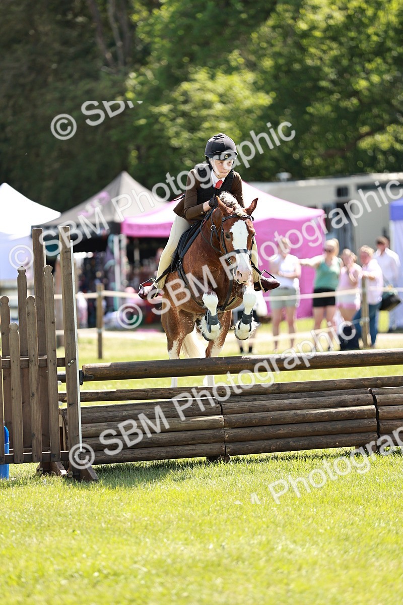 SBM_17621 - Class 112-113 - BSPS LIHS Working Sports Pony