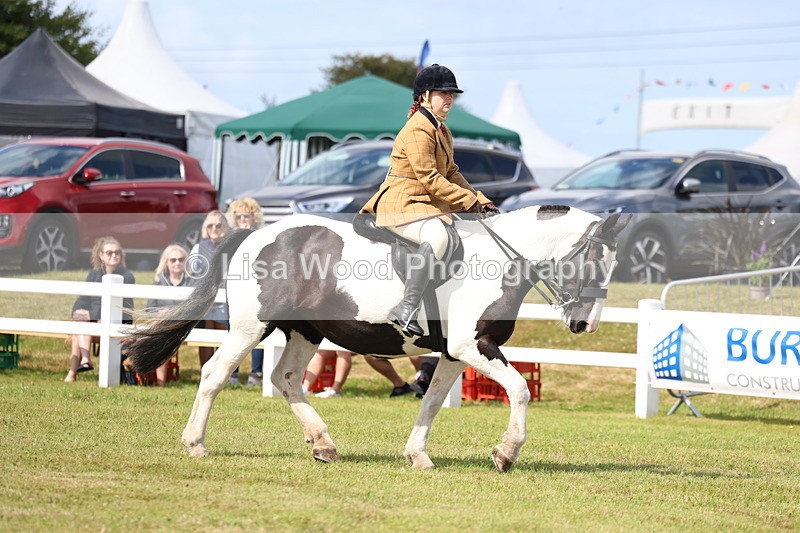 3E7A9686 - Class 5: Rising Star Lightweight/Heavyweight Cobs