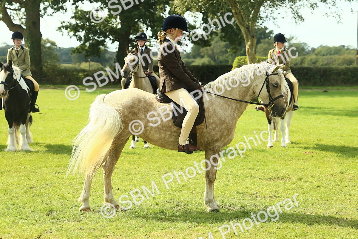 SBM_68825 - S58 - Mini Show Cob Ridden
