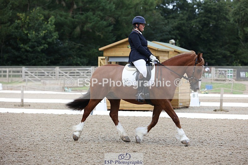 230813-094933-06146 - Cls 11 Elem Bronze Start to 10.50 break