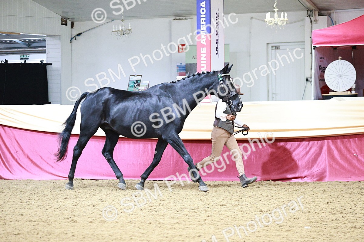 SBM_00166 - Class 1A - Area IH Diamond