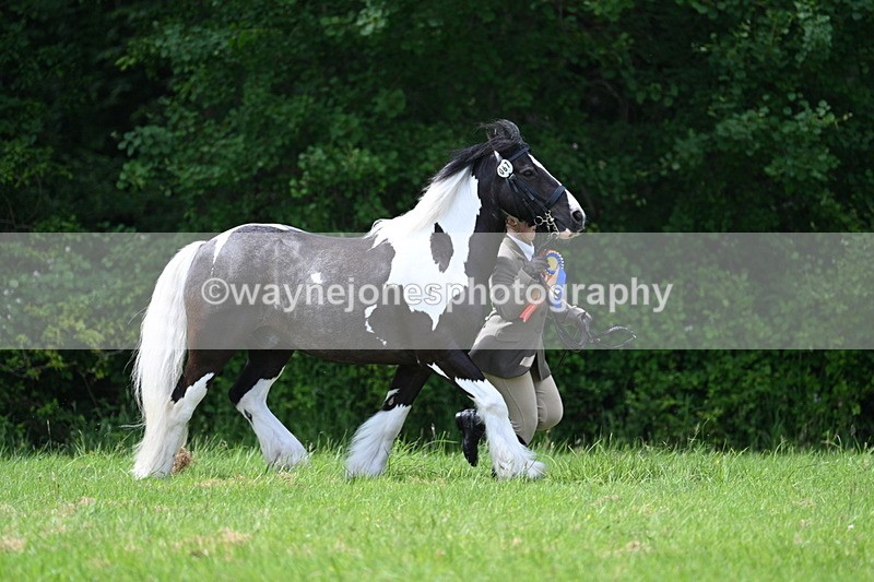 WJ7_1605 - Class 11 Condition & Turnout