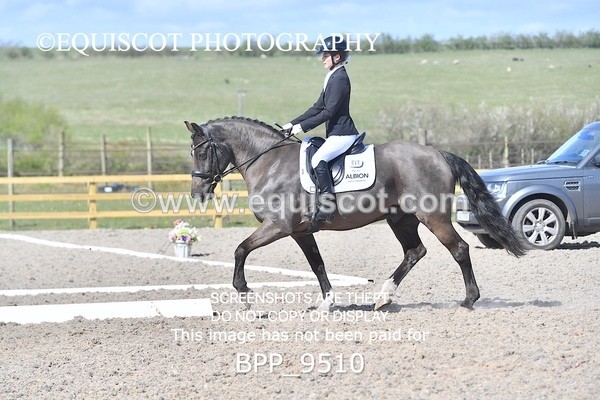 BPP_9510 - NOVICE 6