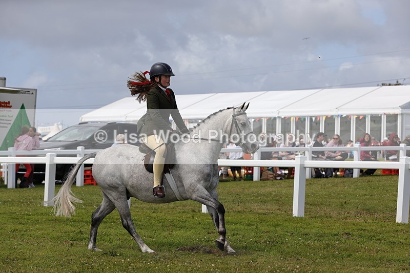 1X9A3992 - Class 32: Show Hunter Pony 153cm and under
