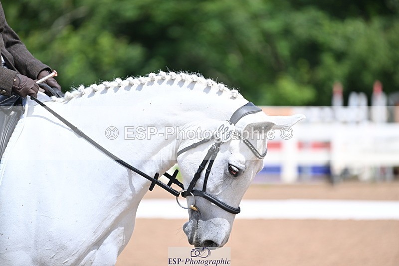 240706A-112624-01080 - Cls 2B Snr Prelim 13