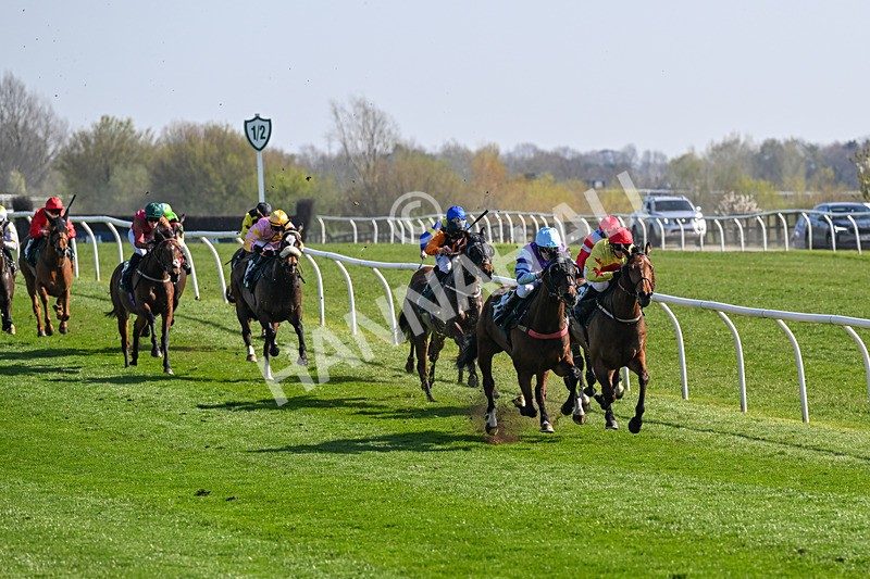 080426-Race 4-Evocative Spark-0322 - Race 4