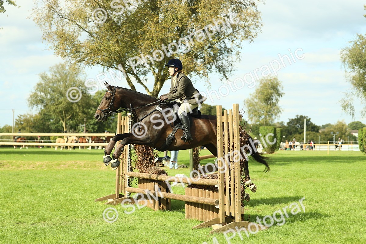 SBM_48025 - S32 - Novice & Newcomers Working Hunter