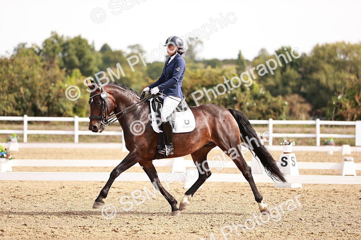 SBM_017568 - Class 11 - Advanced Medium 6