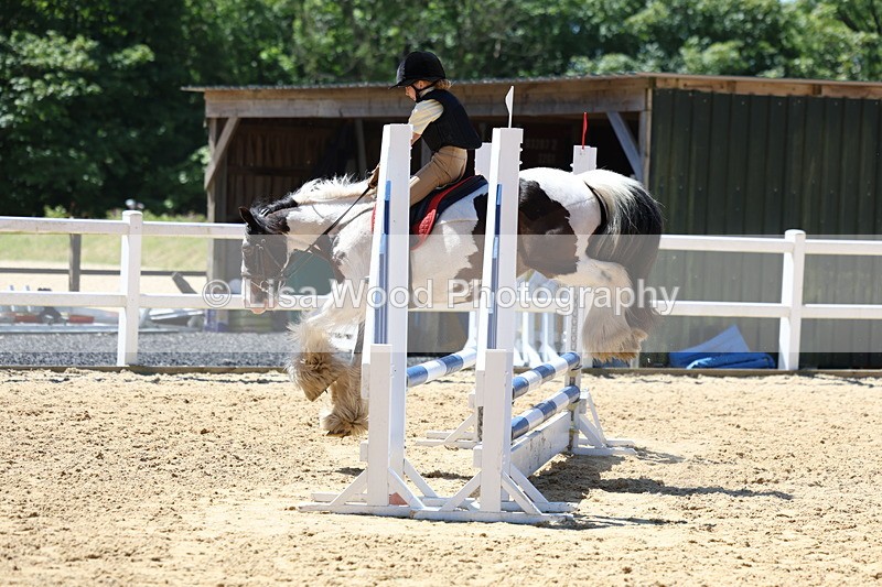 3E7A2609 - Class 4/5: 60cm Open Teams and Individuals