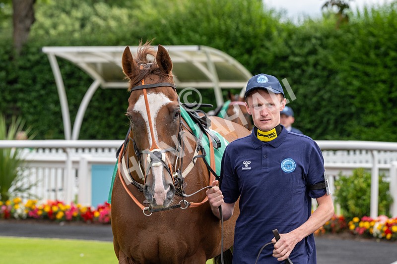 260724-Graham Lee Stable Staff Stakes-2956 - Graham Lee Stable Staff Stakes