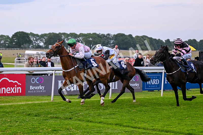 160626-Race 5-Anificas Beauty-5234 - Race 5 20.30pm Churchill Tyres Handicap