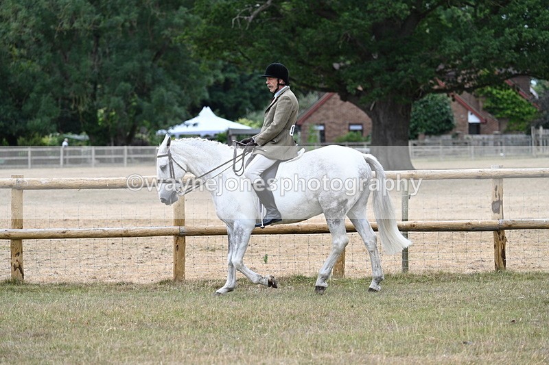 WJ7_0787 - Class 7 Riding Club Show Horse
