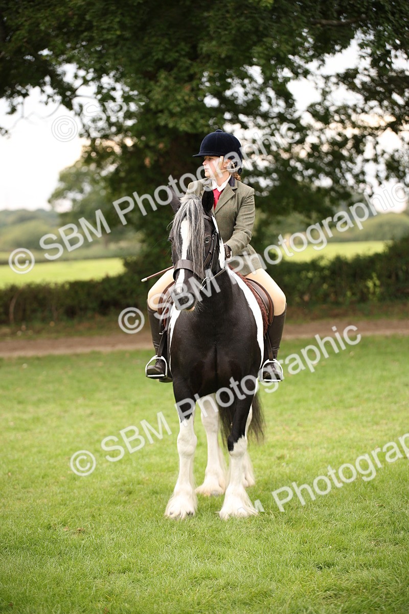 SBM_73462 - S68 - Traditional Cob Ridden