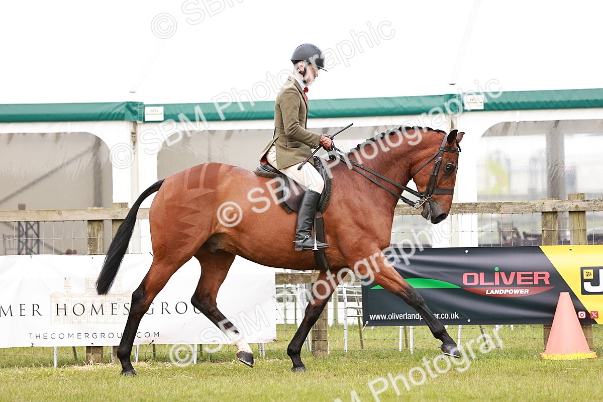 SBM_10755 - Class 81-84 - RIHS Ridden hunters Inc Ladies Hunter