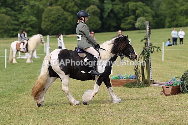 IMG_2402 - Working Hunter